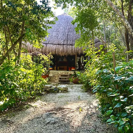 Glamping Bunga Lotus Hotel