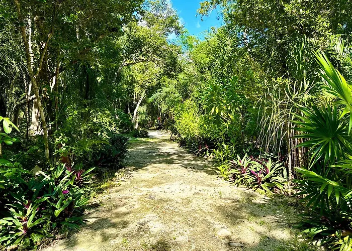 Camping Glamping Bunga Lotus Tulum