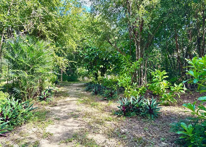 Glamping Bunga Lotus Camping Tulum